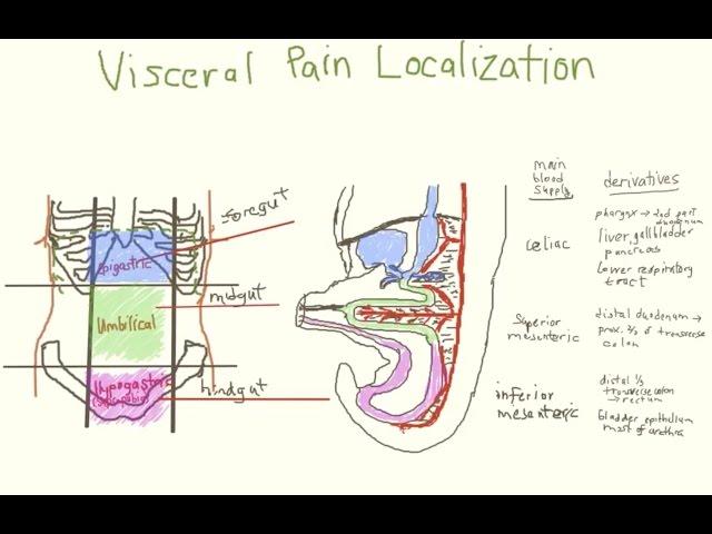 Pediatric Acute Abdominal Pain, Part 1 of 2