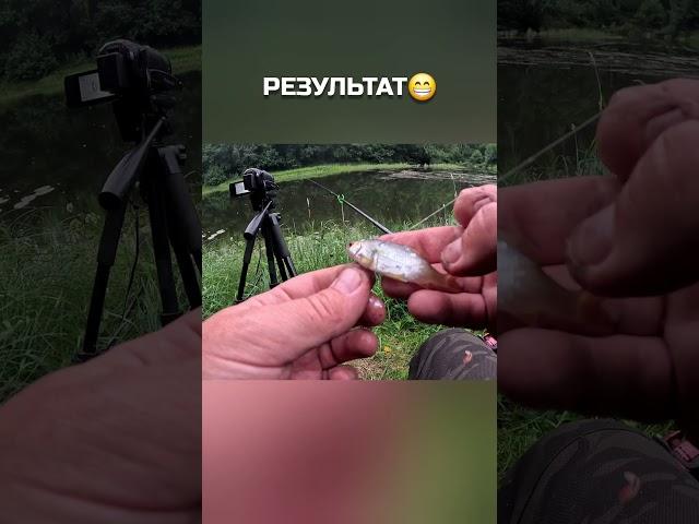 Крутая поклевка - смешной результат! #рыбалка #удочка #поклевка #плотва #fishing