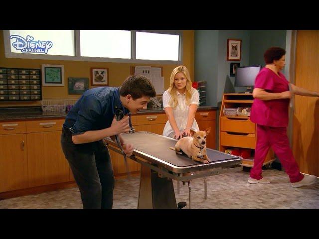 I Didn't Do It | The Checkup  | Disney Channel UK