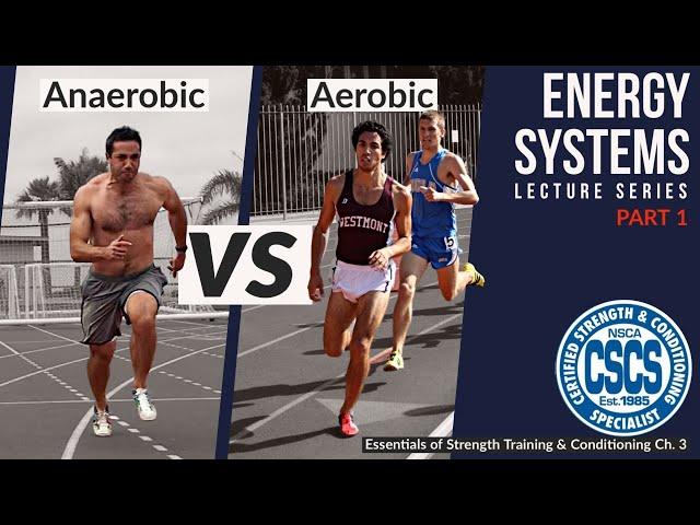 Bioenergetics of Training: 3 Energy Systems | CSCS Chapter 3
