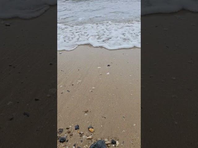 추석 앞둔 가을 무창포해변의 파도 #파도소리