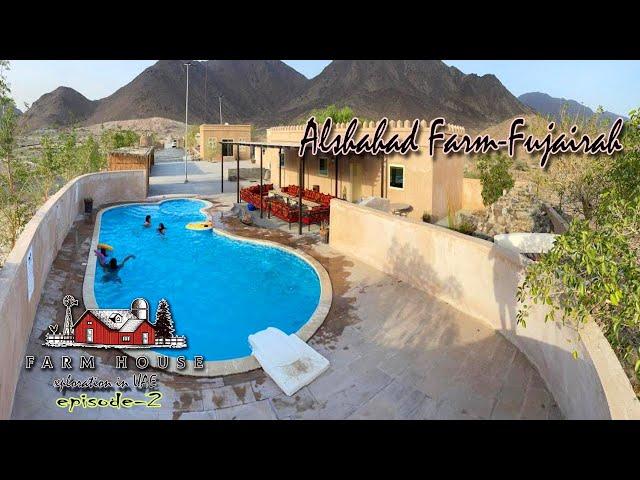 FARMHOUSE STAY | EPISODE NO:2|FUJAIRAH | ENJOY THE WINTER IN UAE |CAMPING| AL SHAHAD FARM | 25%OFFER