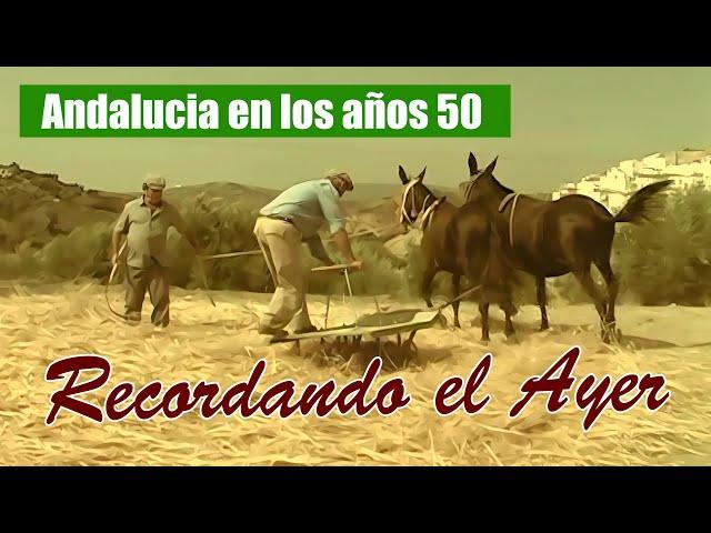 Recordando el Ayer - Un documental recrea los trabajos y costumbres de la Andalucía de los 50