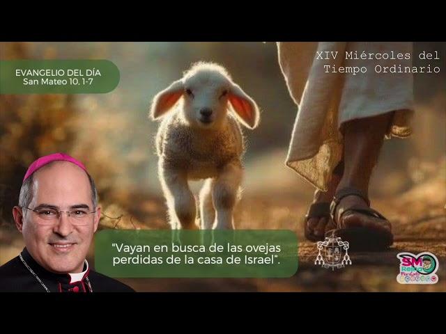 XIV Miércoles de Tiempo Ordinario. 10 de julio del 2024. Reflexión diaria de Mons. Héctor M. Pérez