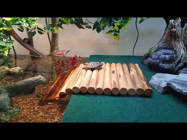 Turtle tank with Chameleon setup