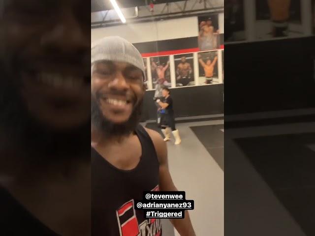 Is Aljamain Sterling really injured?