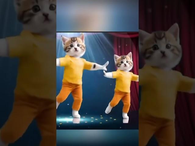 #cutebaby #funny #cat #catlover #kucing #ai