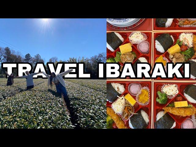 TRAVEL IBARAKI KOGA Farm to picnic tour