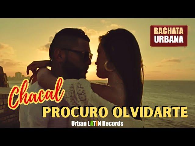 CHACAL ► Procuro Olvidarte (Bachata Romantica)