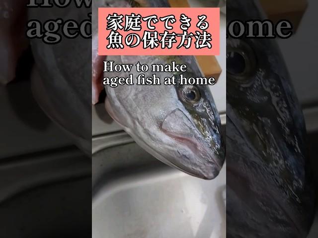 【魚保存革命】家庭でできる簡単な魚の保存方法 #熟成 #魚料理