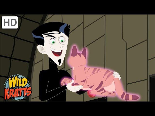 Zach is After All the Wild Cats | Wild Kratts