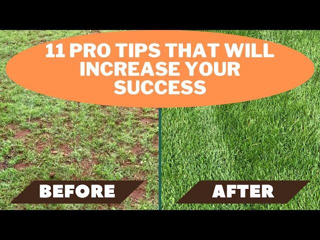 Overseeding Lawn   11 tips that will ensure your success