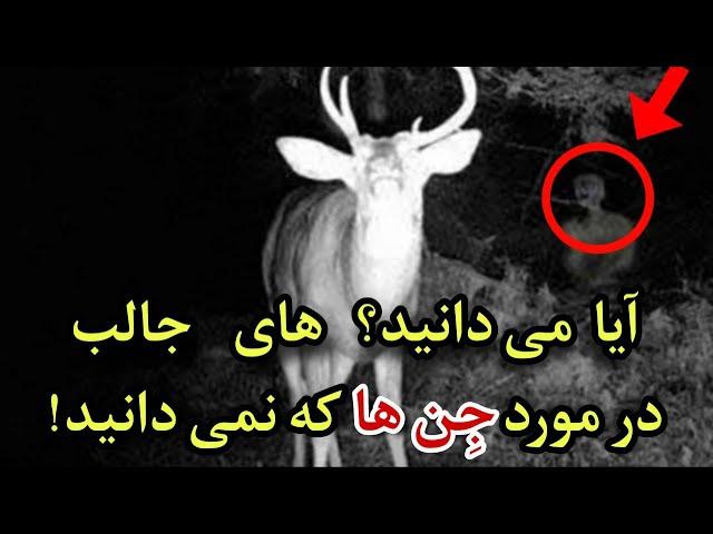 آیا می دانید که جن ها چگونه زندگی می کنند ؟