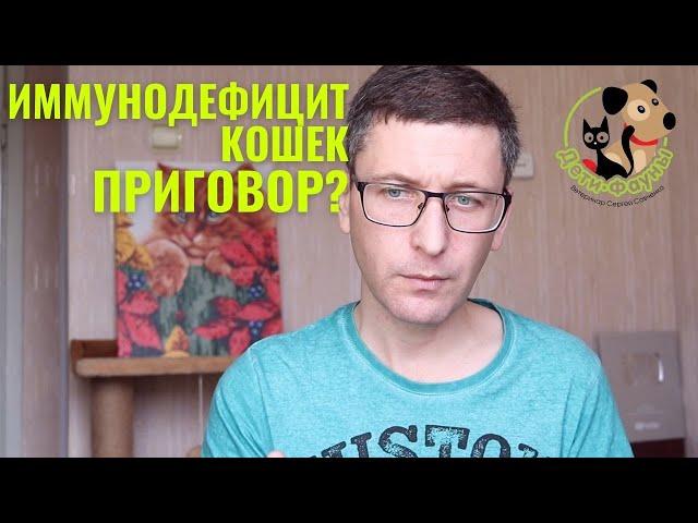 Иммунодефицит (ВИК) кошек | Как кошка заражается | Симптомы | Что делать, чтобы не заболеть ВИК?