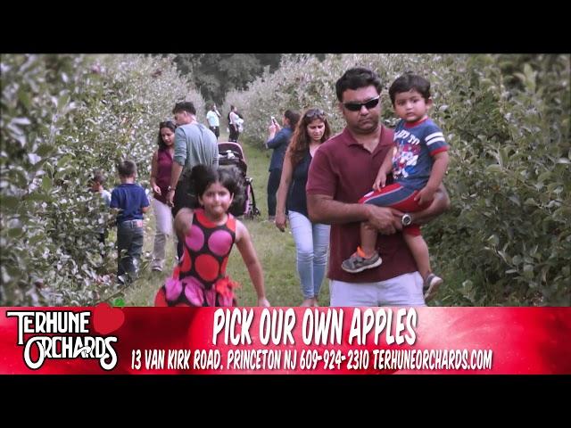 Terhune Orchards Pick your Own apples