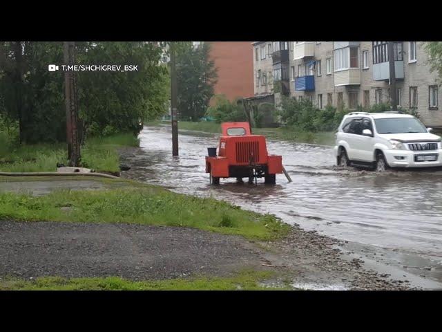 "Будни" (новости, 30.05.24г., Бийское телевидение)