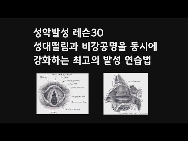 성악발성 레슨30 비강공명과 성대떨림을 동시에 강화하는 최고의 발성 연습법