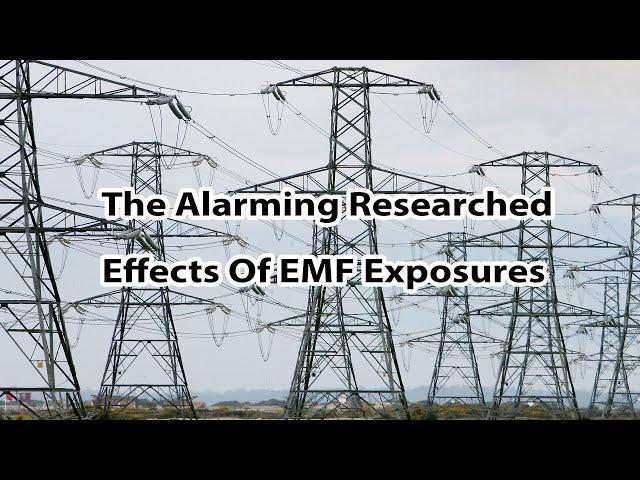 The Alarming Researched Effects Of EMF Exposures - By Author Daniel Debaun