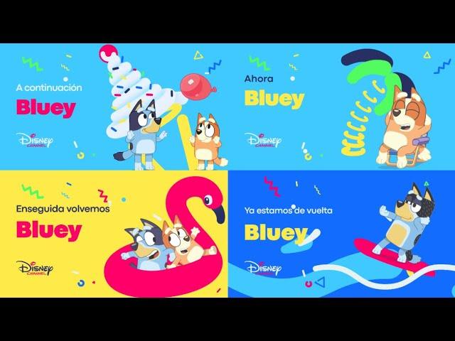 Disney Channel España/Spain HD | Bluey | Cortinillas/Bumpers | Verano/Summer 2024