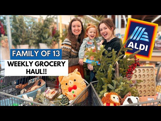 Aldi vs.Costco: Kids, 2 Carts! Aldi Holiday Haul: Festive Treats & New Arrivals 