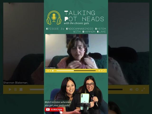 What does a budtender do? | Talking Pot Heads #cannabispodcast #dispensary #learn