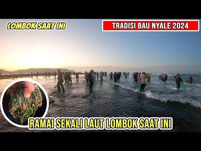 RAMAI SEKALI TRADISI BAU NYALE DI LOMBOK SAAT INI TAHUN 2024 PART 1