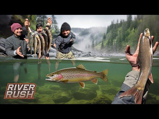 We Caught The World's RAREST Fish (Himalayan Trout)