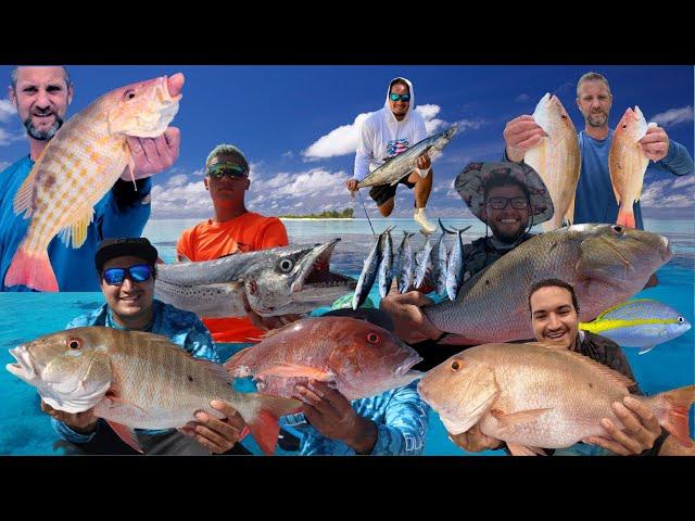 Some Of Our Favorite Moments Reef Fishing Florida & Puertorico