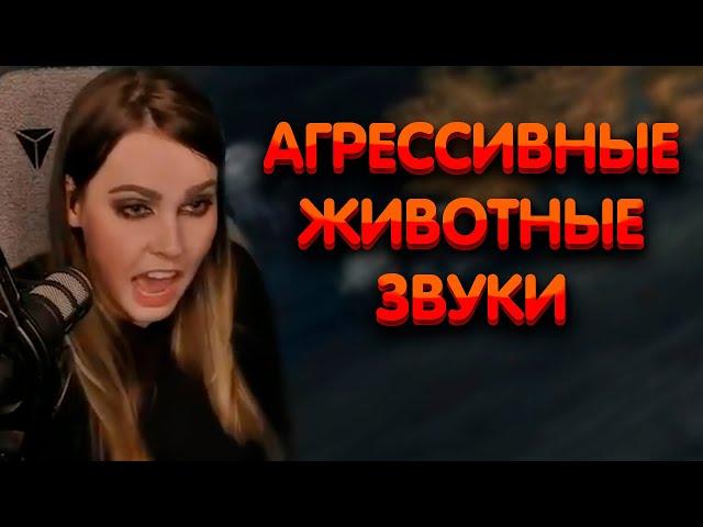 Алина Рин : Агрессивные животные звуки ► AlinaRin Rofls