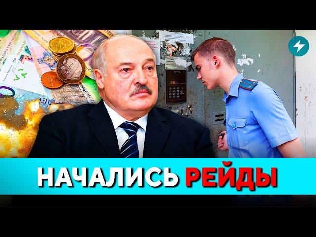 Гомель, приготовиться: идут облавы, тунеядцы сядут? Жодино сражается с крысами // Новости Беларуси