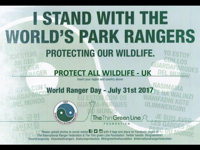 Every Day Rangers Put Their Lives On The Line To Protect Wildlife
