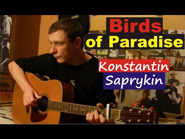 Birds of Paradise (Flying home...) - Konstantin Saprykin