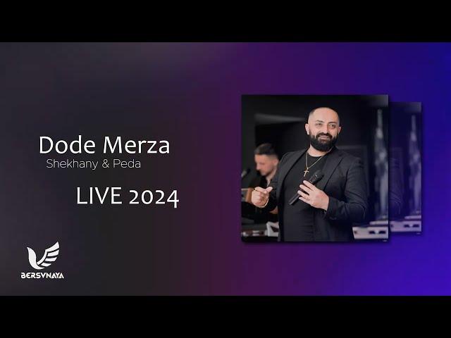 Dode Merza - Shekhany  Peda LIVE 2024 -دودي ميرزا- شيخاني