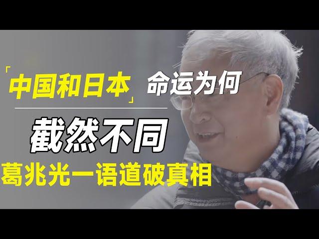 2025年中国经济“日本化”，但与日本的命运却截然不同？葛兆光一语道破真相