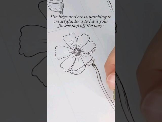 Learn to draw a beginner friendly flower #drawing #satisfyingdrawing #drawingtutorial #floraldrawing