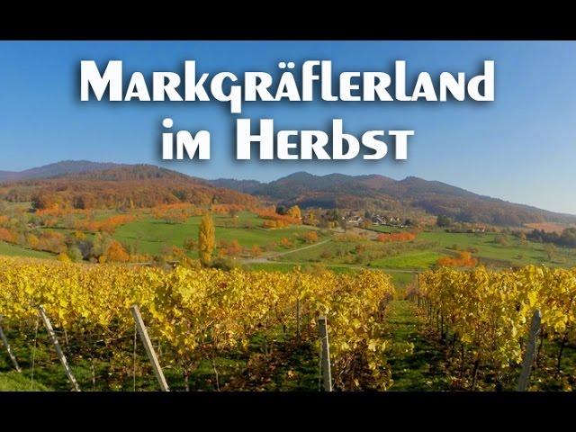 Spaziergang durchs herbstliche Markgräflerland.