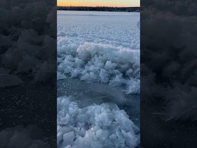 #biggest #snowflakes #formation #snow #winter #arctic #shorts #video #frozen #ice #lake #viral