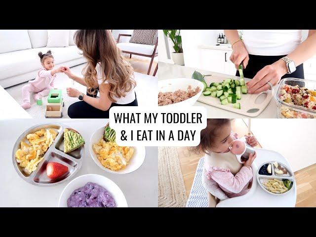 What My Toddler & I Eat In A Day | Healthy & Quick Meals | Annie Jaffrey