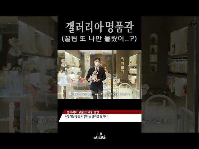 갤러리아 명품관 1층에 000 없다고? | 갤러리아 49.4초 숏폼
