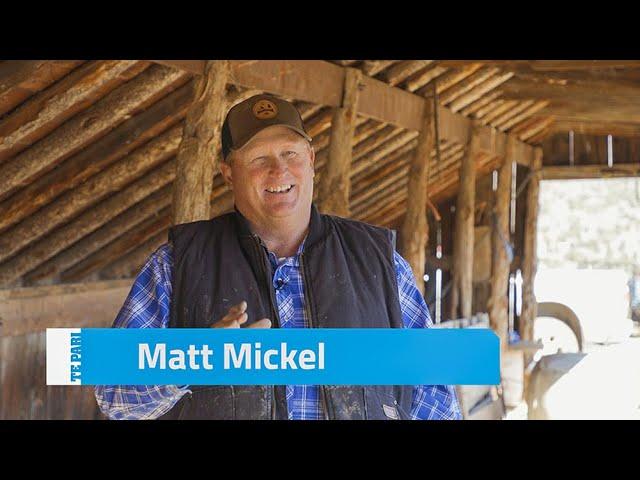 The Racewell HD4 Sheep Handler in Utah, USA | Matt Mickel