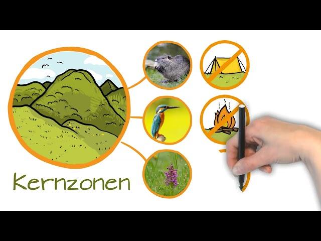 Wie funktioniert eigentlich Naturschutz in Österreich?