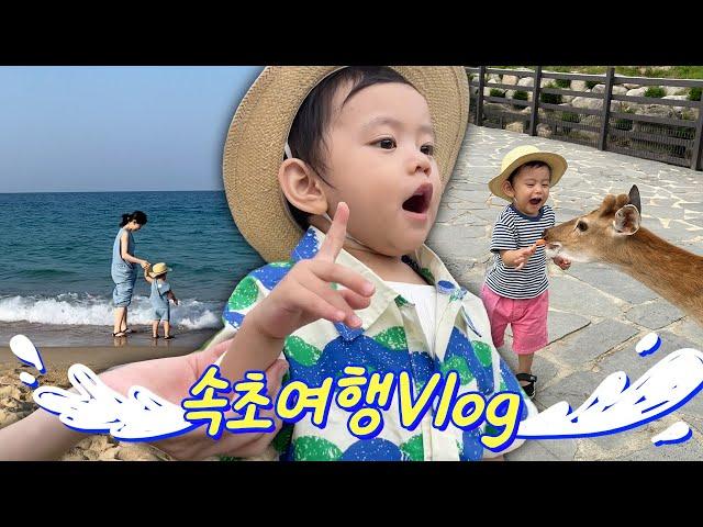 VLOG l 드디어 좀 편하게 다녀온 여행 브이로그️26개월 아기와 속초 여행 (feat. 켄싱턴호텔앤리조트)