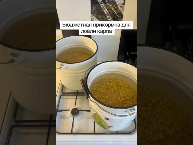 Бюджетная прикормка на карпа  #рыбалканакарпа #рыбалка