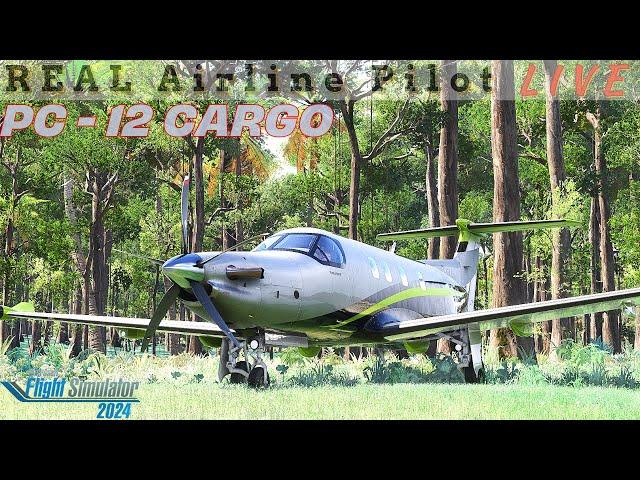 Flying a PC12 in the jungles of South America | Career Mode | Real Airline Pilot | #msfs2024 #msfs