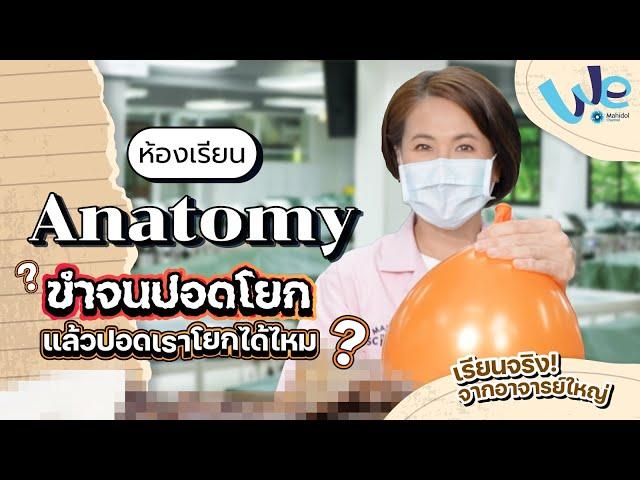 ห้องเรียน Anatomy : ขำจนปอดโยก แล้วปอดเราโยกได้ไหม  | We Mahidol