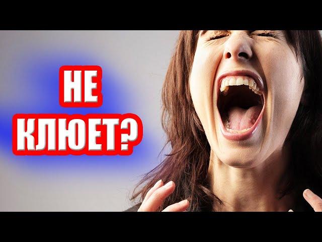 Почему у всех КЛЮЕТ, а у вас НЕТ? ● Русская Рыбалка 4 | РР4