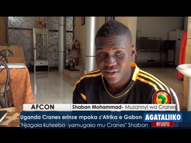 CRANES SHABAN PKG