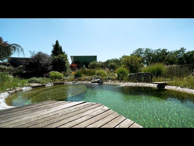 Nachhaltig erfrischend: Naturpools und Schwimmteiche