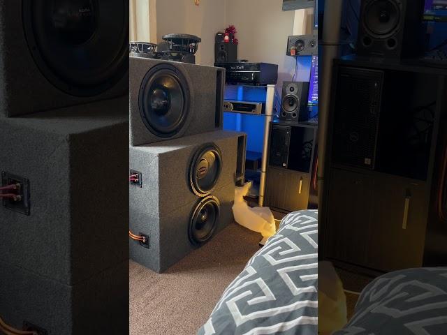 Playing lows on the subs (28-20 HZ) #subwoofer #soundsystem #behringer #speaker #subwooferbass