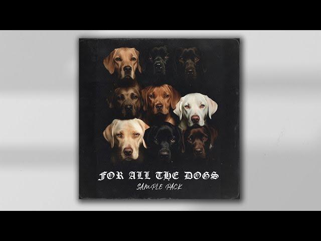 FREE DRAKE SAMPLE PACK - "FOR ALL THE DOGS" | Drake Dark Samples